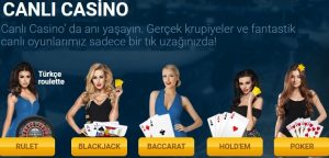 Oddsring Casino