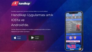 Handikap Mobil