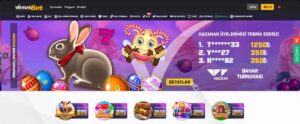 Venüsbet’e Genel Bakış